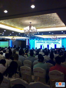 龍華金貿(mào)易登網(wǎng) 文藝演出與慶典活動(dòng)策劃全解析